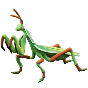 A   q LbY  ͌^ tBMA RNV ߋ fBXvC c   Mtg J}L hbL   sN