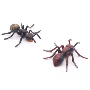 A   q LbY   ͌^ ߋ tBMA RNV fBXvC  A  ǂ TvCY F  c Mtg