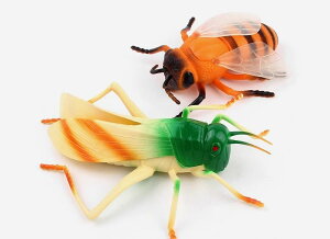 ���A�� �� �������� �q�� �L�b�Y ���� ঒��� ������ �͌^ �ߋ� �t�B�M���A �R���N�V���� �f�B�X�v���C ���� �w�r �w� �g�J�Q �_�炩�� �������� �ǂ����� �T�v���C�Y �F�� ���� �c������