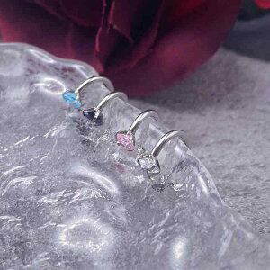 sAX   ANZT[ O Xg[ bv O T[L[ X^bh `^| I pN     sN 