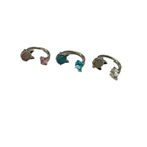 sAX   ANZT[ O  bv O T[L[ `^|   L LL Xg[ p  sN 