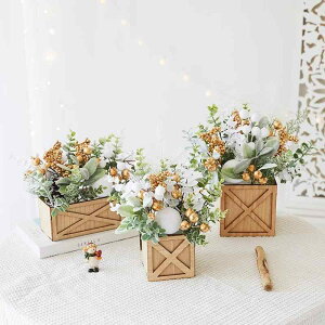 NX}X   ~ 12  fR[V u  ~j c[  X JE^[     S[h ؂̉ ` `