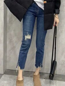 W[Y _[W fB[X bvh fj t 傫TCY  nCEGXg X Xg[g  JWA EHbVh  O[