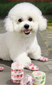   ی e[v C ĝ ₷ U S Eɂ Oo h~ ȒP tbgJo[ n[g C`S `FbN  ^ ^ ^ ybg