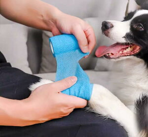   ی e[v h ~ ĝ U ybg S  tbgJo[ Oo  h~ Jo[ ^ ʋC K e g₷  F  C`S