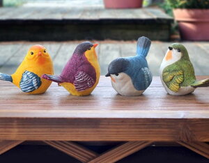 K[fI[ig u ~j`A G  CeA z[fR[V Aj}IuWF    Pi Zbg 킢  IW  