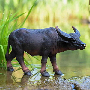 K[fI[ig u ~j`A G  CeA z[fR[V Aj}IuWF    킢  q X