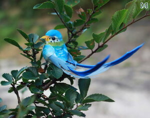 K[fI[ig u ~j`A G  CeA z[fR[V Aj}IuWF   rt  킢    F