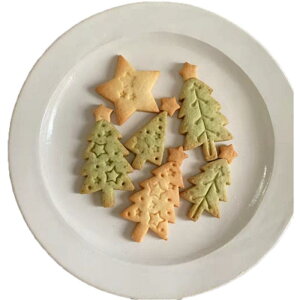 NbL[^ NX}X ^ tH_^ َqÂ `R[g rXPbg pCn Lb`  fR[V ƒp 킢 c[