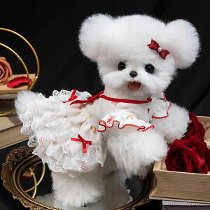 ybgEFA  L q ^p p[X   ʋC K ё΍ Rԕ ԕ 킢 vZX ig  U 