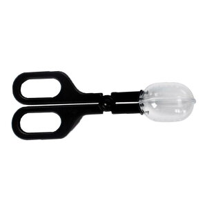 ঒  sZbg a ߊl | Lb`[ ঒  Nbv SLu ߊl gJQ  N  a  ybg  ώ@  w w