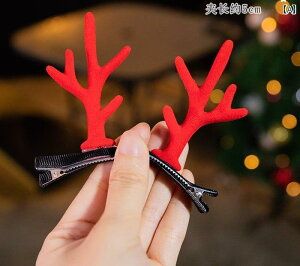 NX}X wAANZT[ s Nbv  q 킢 giJC p Cxg RXv  p[eB[ TCY