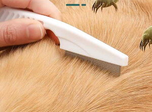 �m�~��� �R�[�� �y�b�g�u���V �L �� �׎� �X�g���[�g �X�`�[�� �V���~ �����O�w�A ������� �u���b�V���O �R�[�~���O �p�i �Z�b�g �z���C�g