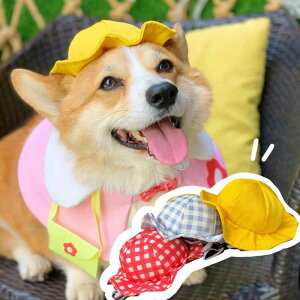 ybg Xq nbg  L ʐ^ R[M[ tX efBxA t`uhbN ^  Ԃ  RXv  RX`[