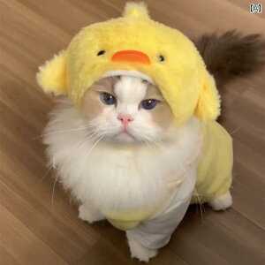 Lp Xq nbg Ђ悱 ybg 킢 ʂ Ԃ ʐ^Be  H~   ӂӂ  X^C 