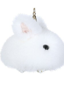 obO`[ t@[ fB[X L[z_[ ؍ Xgbv ANZT[  G || v[g a ʊw XN[ ӂӂ 킢   sN O[