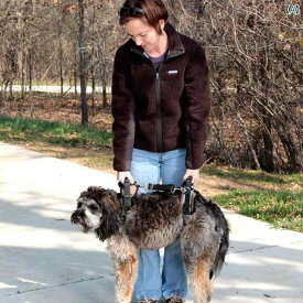 歩行補助 ハーネス 犬 介護 高齢 ペット用品 怪我防止 散歩 通気性 快適 牽引 着脱簡単 調節可能 持ち運び リハビリ 術後 サポート ゴールド 青