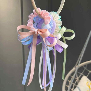 wAANZT[ { qp \   Rbg lN^C S 킢 oh J`[V ̎q sN  