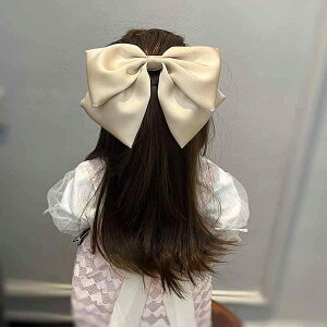 wAANZT[ { qp \  ob^ 傫 킢  Vv  GKg vZX  ̎q  sN 