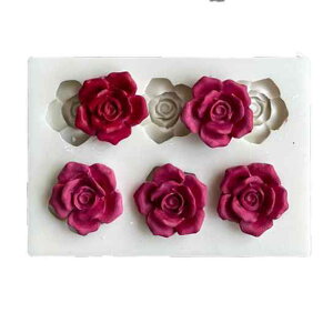 `R[g [h ^ VR ٗp َq ƒp Lb`pi o^C a NX}X P[LfR[V o