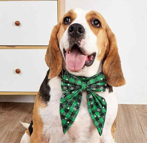   킢 { NX}X XJ[t ybg ANZT[ obN ^ ^ ^  `FbN    sN