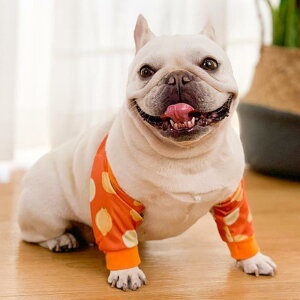  O T|[^[ ybg G pbh r  ֐߉ ɘa p PK x ی Jo[ h ۉ g R[M[ I ΍ 킢 tNE    IW lCr[