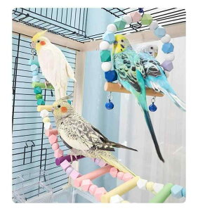 pi  ybg V  ߋ ^s XgX IE CR uR  P[W  ͂  킢  ϖՐ