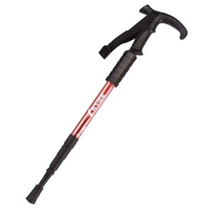 gbLO |[ XebL ^ ֗ oR  Y fB[X J[{ A~jE  y Lk XL[ ~ t @\ nCLO EH[LO X|[c pi  