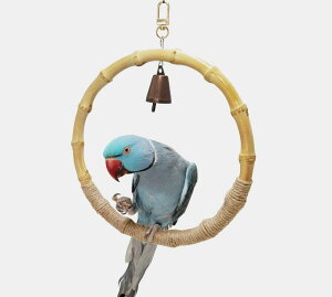 pi  ybg V  ߋ ^s XgX IE CR | |  f  XCO uR  P[W ܌ ݂艺