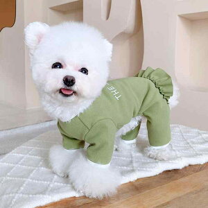 ybg   tH hbOEFA j̎q ̎q ^ ^ U ł  v[g 킢 |jA gCv[h ` t   sN