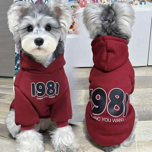 ybg   H~ hbOEFA j̎q ̎q ؍ ^ U ł  v[g 킢 uh[ |jA R[M[ t[h JWA  g