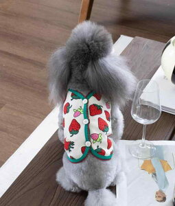 ybg   H~ hbOEFA j̎q ̎q ^ U ł  v[g 킢 |jA gCv[h ` 傫TCY   sN 