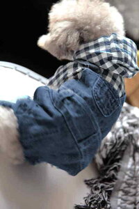 ybg   H~ hbOEFA j̎q ̎q ^ U ł  v[g 킢 |jA gCv[h `  I[o[I[ fj `FbN