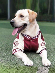 ybg   tH hbOEFA j̎q ̎q ^ U ł  v[g 킢 uh[ S[fgo[ R[M[  N g    g