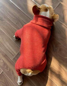 ybg   H~ hbOEFA L j̎q ̎q ^ U ł  іh~ v[g 킢 uh[ gCv[h R[M[ Vv n  IW sN