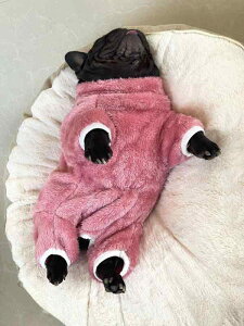 ybg   H~ hbOEFA L j̎q ̎q ^ U ł  v[g uhbO gCv[h R[M[  킢   