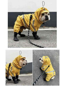 ybg   H~ hbOEFA L j̎q ̎q ^ U ł Oo uhbO gCv[h R[M[ CR[g h ˍޕt   F
