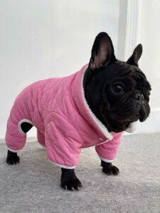 ybg   H~ hbOEFA j̎q ̎q ^ U ł uhbO gCv[h R[M[ 킢 㒅  g sN