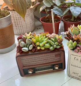 Aؔ  mX^WbN sAm J JZbg di    O   A  K[fjO   ƒ t[|bg oRj[