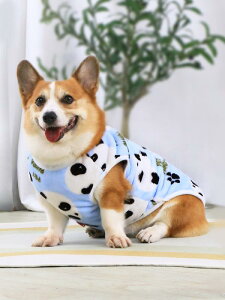 ybg   H~ hbOEFA ̎q j̎q ^ U ł uhbO gCv[h R[M[ 킢 xXg g p_   sN  O[