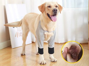   ֐ T|[^[ n uh[ S[fg[o[ ϖ veN^[ pbh ybg G p Q ی X[u ^ 傫TCY Jo[  O[