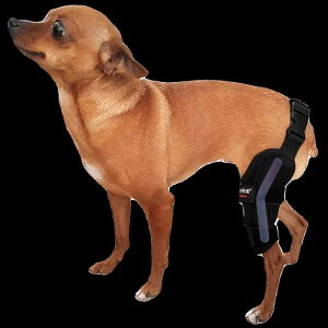 犬 足 関節 サポーター 黒 無地 金属 バネ 脱臼 膝 十字 靱帯 損傷 固定 補助 ベルト 骨折 パッド ペット 手術 保護 スリーブ 小型 中型 大型 カバー