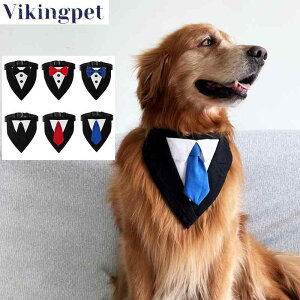 lN^C    am ybg Vc EFfCO ߂  ANZT[ Op XJ[t ^ ^ ^   