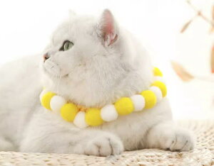 L    ybg ^ lbNX R ANZT[ O ||    NX}XpXeJ[ 