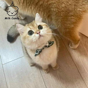    L ybg a    ^  obN 傫TCY sN ͗l     ʐ^ Be U