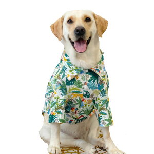  ĕ ybg CR[g 傫TCY J   Vc  Ăh~ S[fgo[ TGh uh[  ^