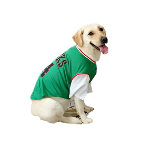  ĕ ybg   ʋC bV Ăh~ ^ S[fgo[ TGh uh[ 傫TCY xXg  F