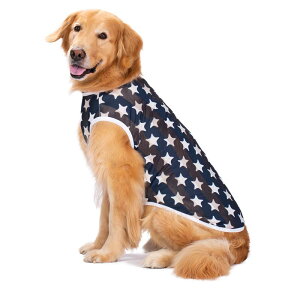  ĕ  ^ ^ t  S[fgo[ ybg xXg Ăh~ JWA ʋC bV   n[g   sN U