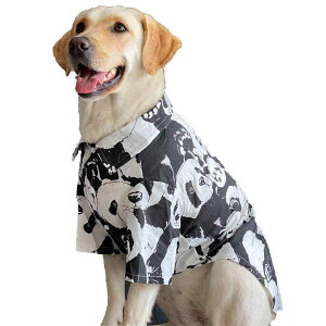  ĕ  ybg ^ p_ Vc  Ăh~ S[fgo[ uh[ U JWA   ݕt {^ 