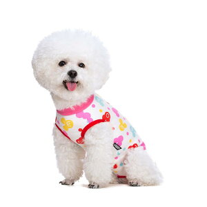  ĕ  t  ח\h ybg X IX p  D  p j̎q ̎q 킢 JWA Lk sN  F   C`S